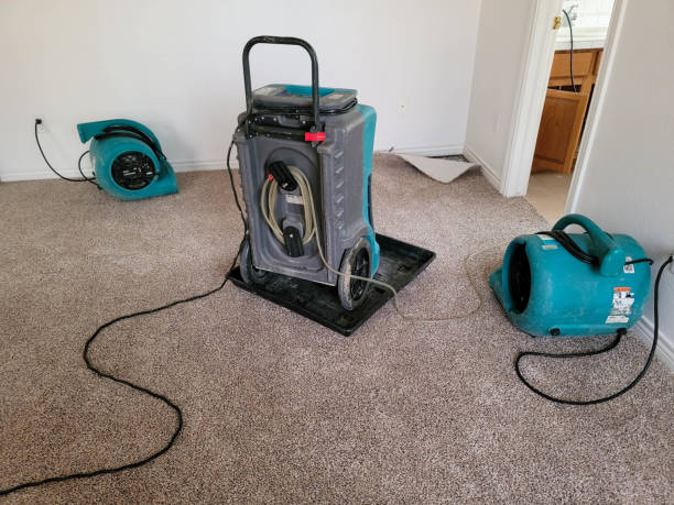 Best Commercial water damage restoration  in Chicago, IL