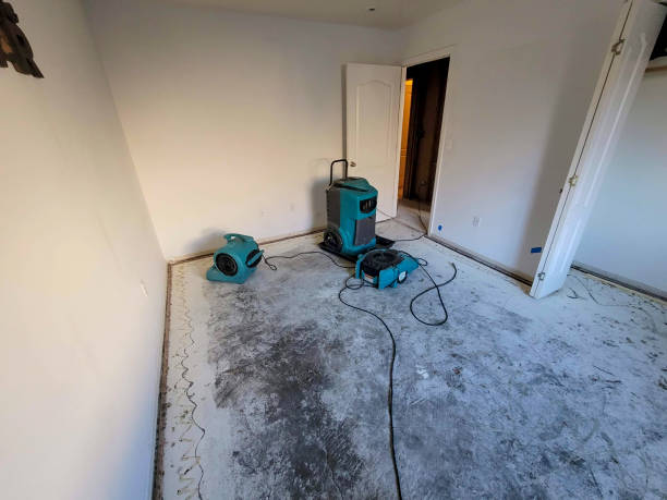 Best Carpet water damage restoration  in Chicago, IL