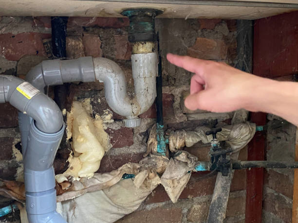 Best Water damage restoration near me  in Chicago, IL